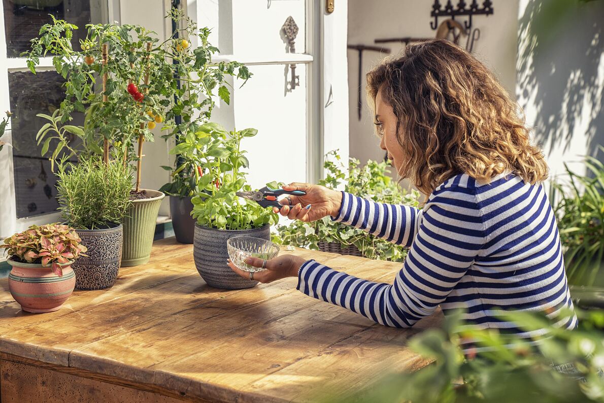 How to make a pillar for growing vegetables - How to grow Mint leaves 