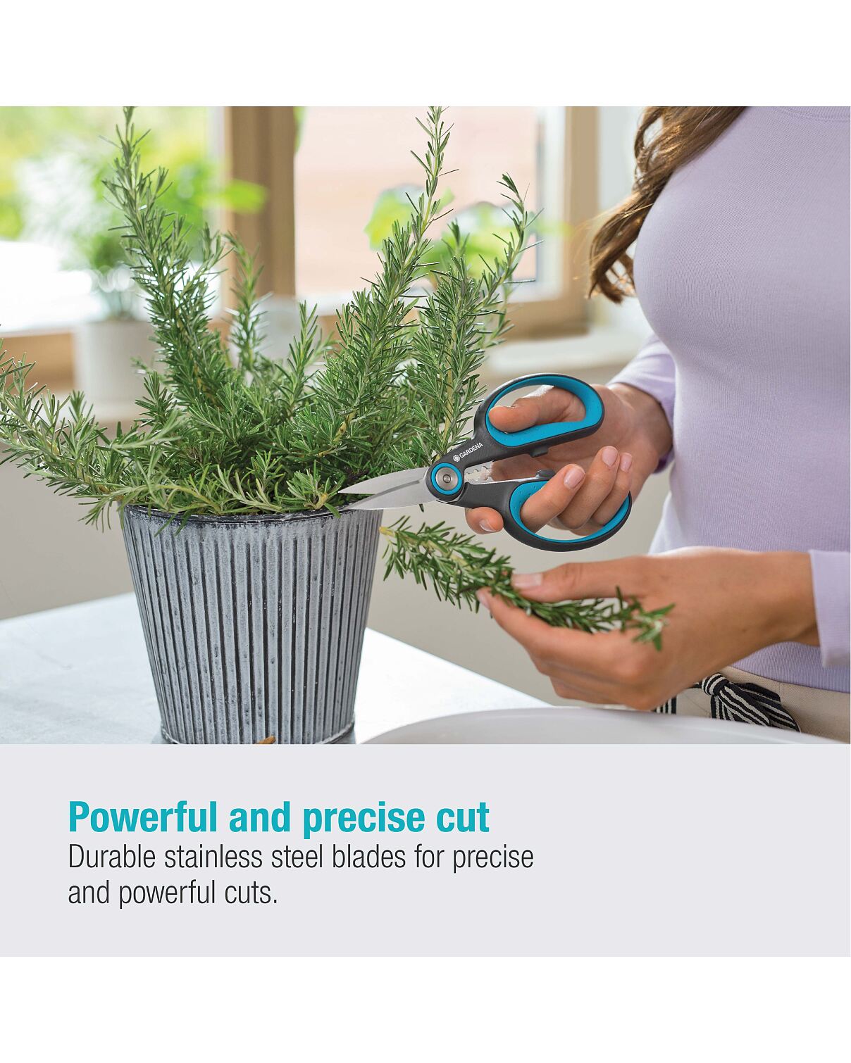 MicroCutting HerbCut Tool