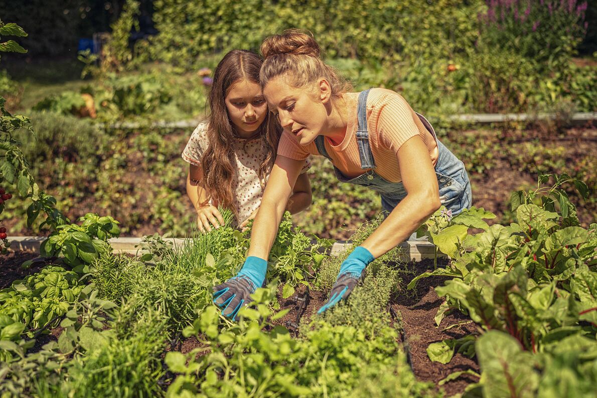 More resilience is also becoming increasing-ly important in domestic green spaces