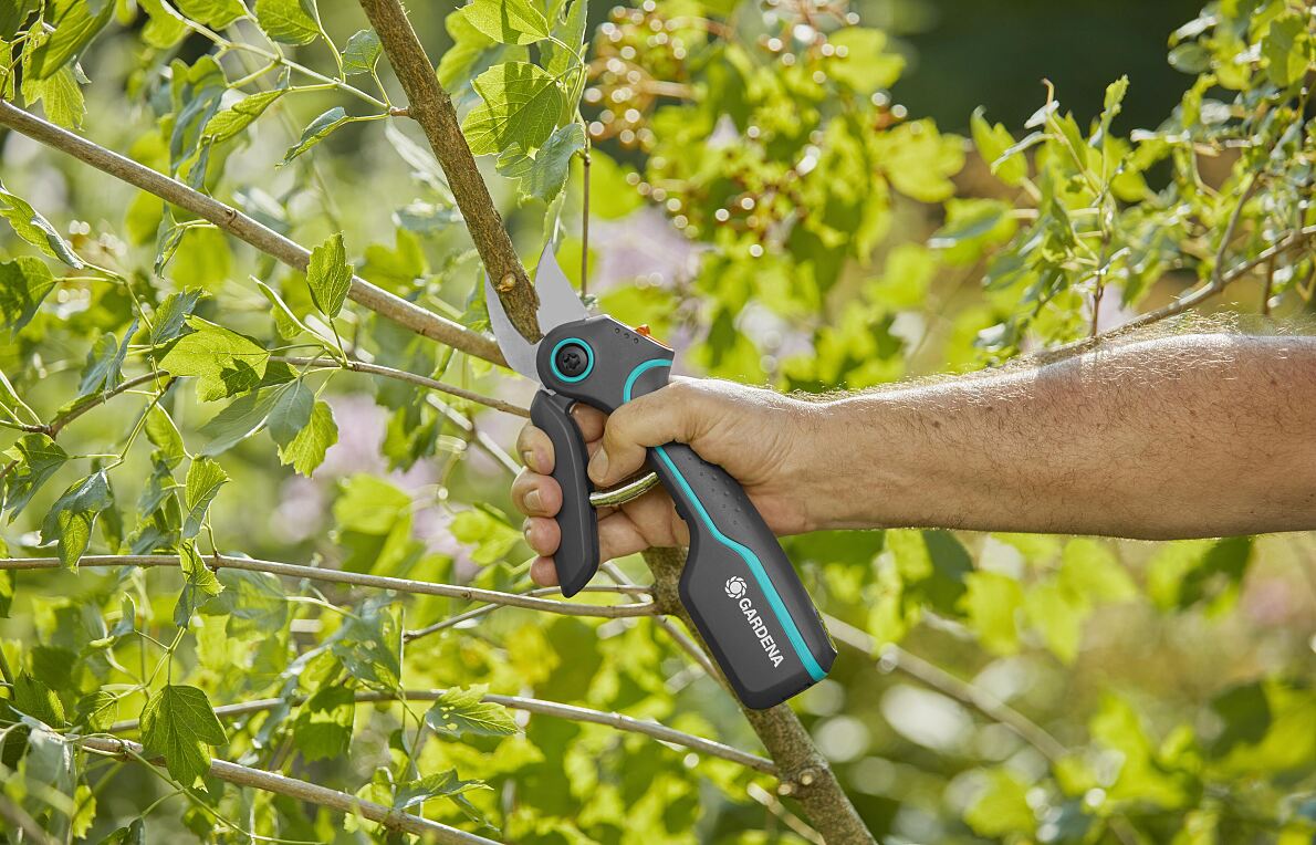 AssistCut batteridriven sekatör