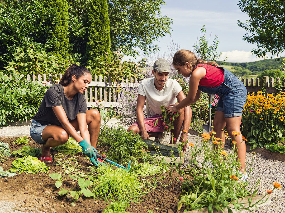 GARDENA Moestuin