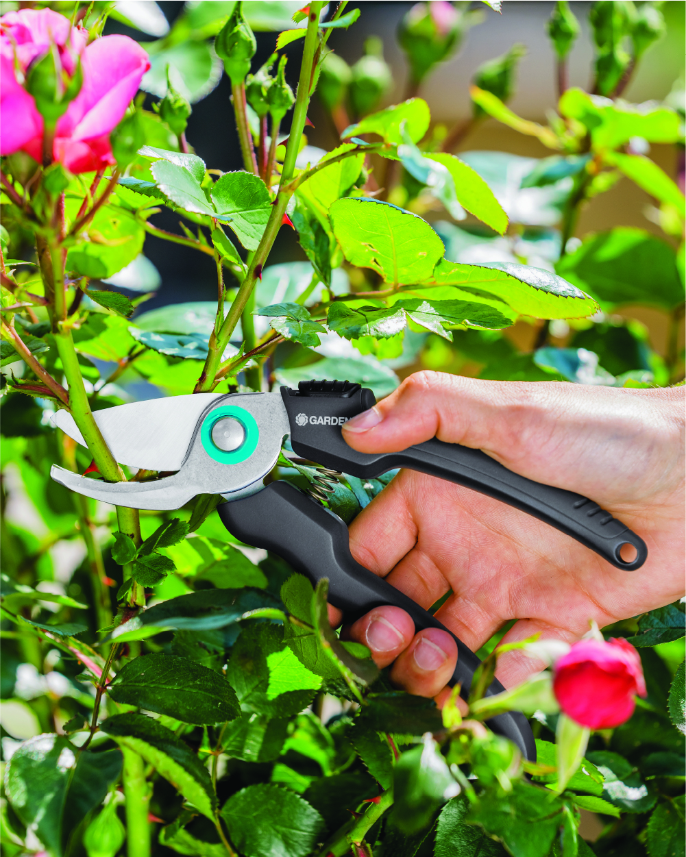 Gardena EcoLine Bypass Secateur