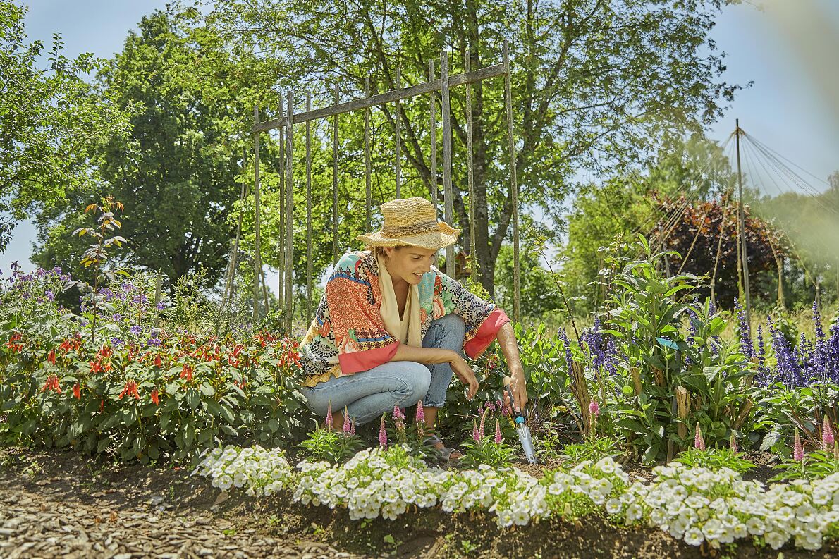 Tackling climate change with biodiversity