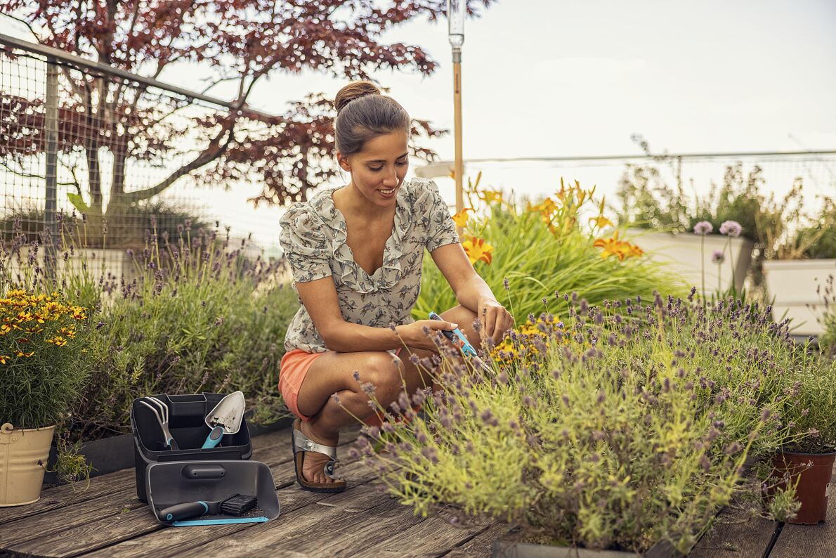 Résilience dans les espaces verts domestiques