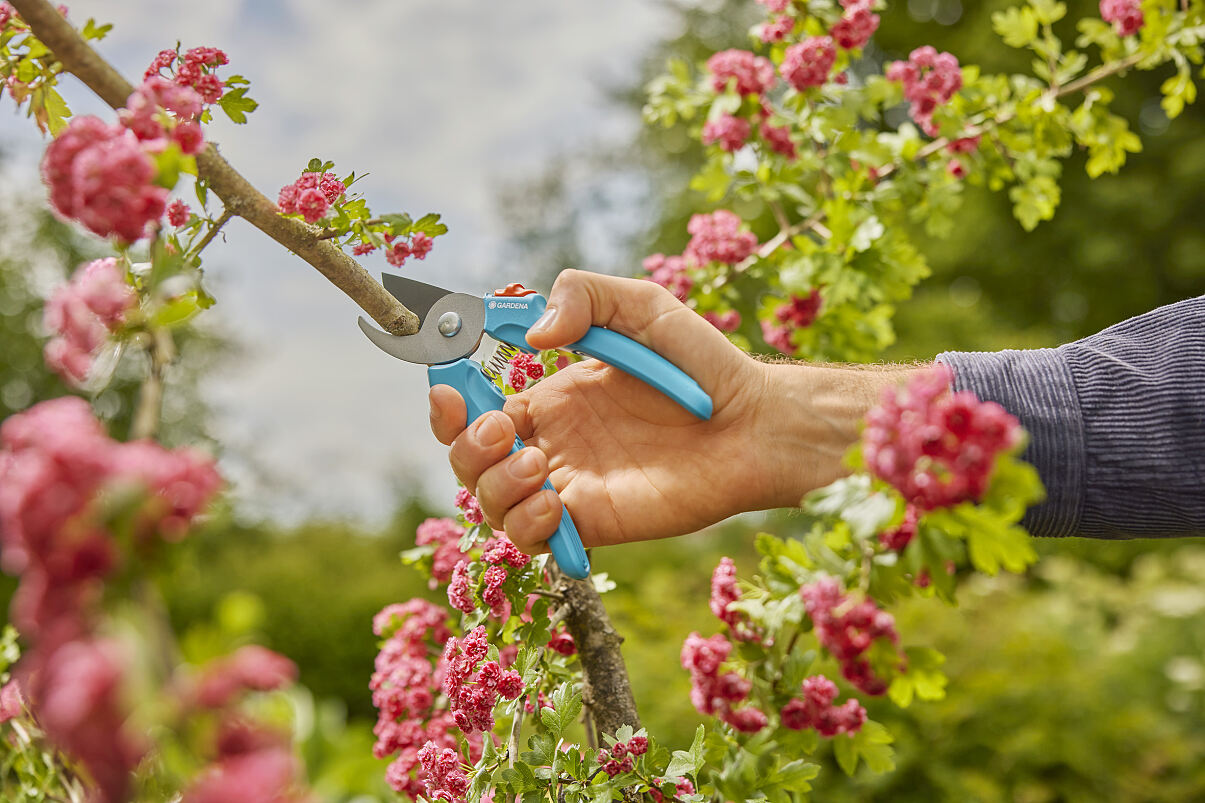 SECATEUR EASYCUT