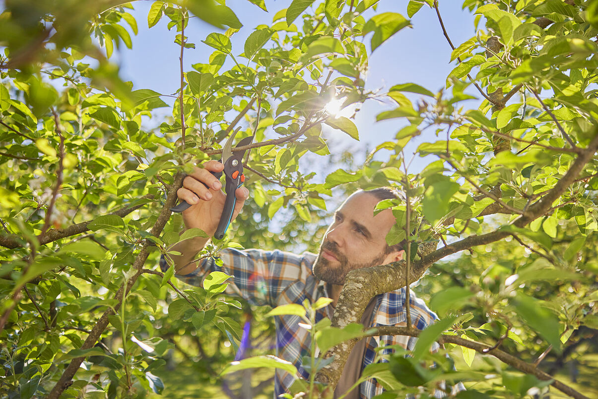 SECATEUR PREMIUMCUT PRO FLEX