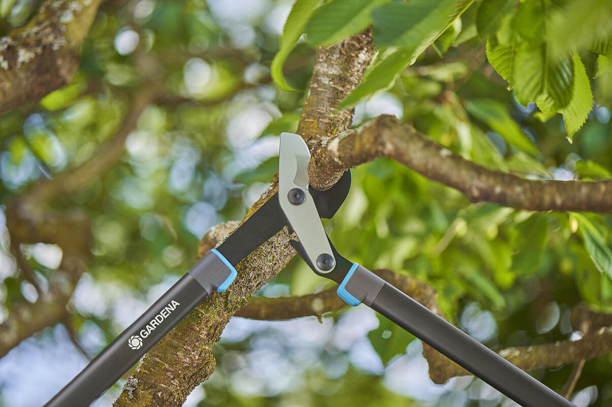 COUPE-BRANCHES EnergyCut Pro L