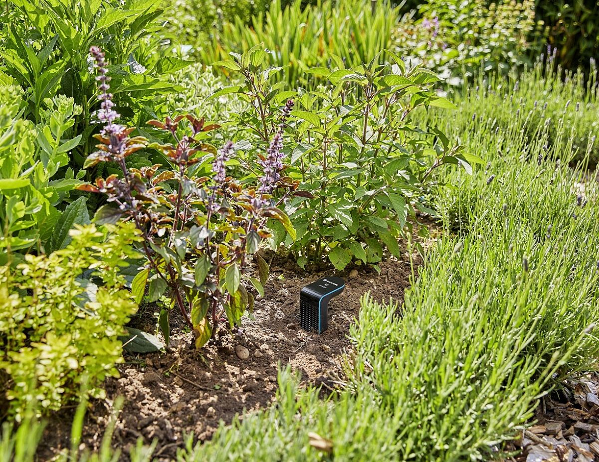 Gardena_PA_Hundstage_Sprinklersystem und smart Sensor