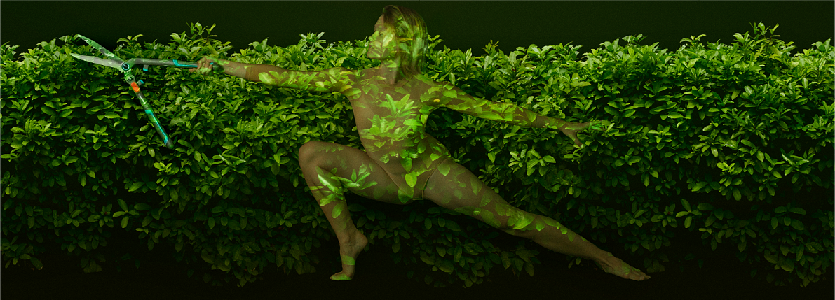 Latest Innovations for the 2025 Gardening season